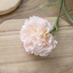 Bouquet d'œillets colorés pour décoration intérieure