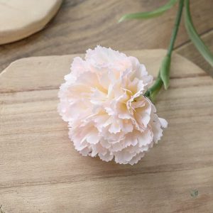 Bouquet d'œillets colorés pour décoration intérieure