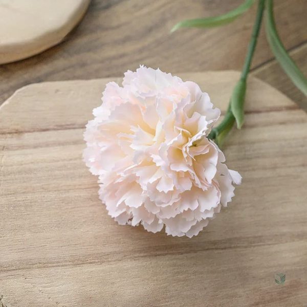 Bouquet d'œillets colorés pour décoration intérieure