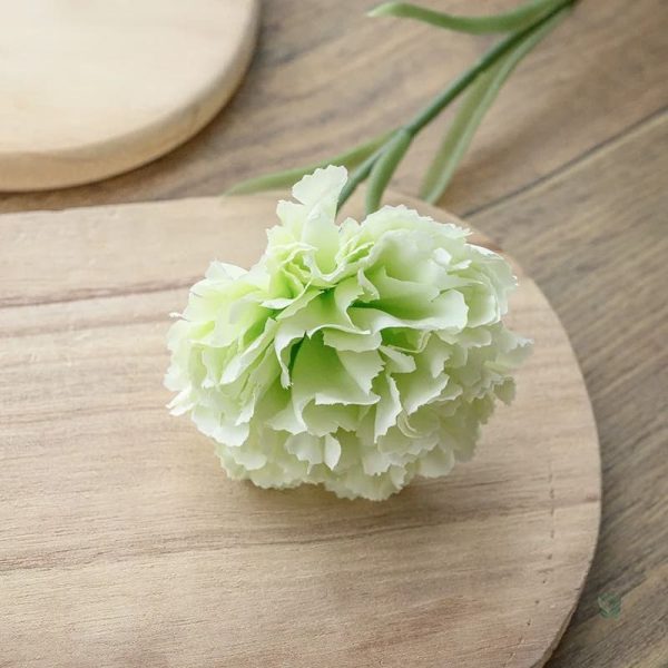 Œillet décoratif, parfait pour occasions spéciales