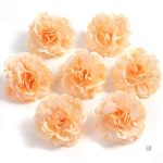 Fleurs Oeillets Synthétiques pour Événements