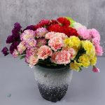 Fleurs artificielles œillets, style moderne et élégant