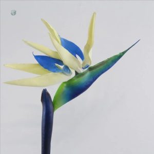 Accessoire déco : Oiseau de Paradis en plastique