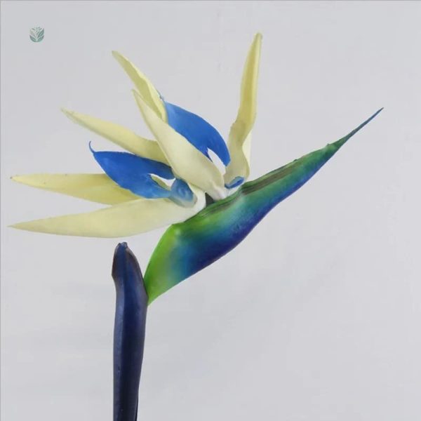 Accessoire déco : Oiseau de Paradis en plastique