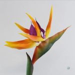 Oiseau de Paradis Artificiel, incontournable pour Noël