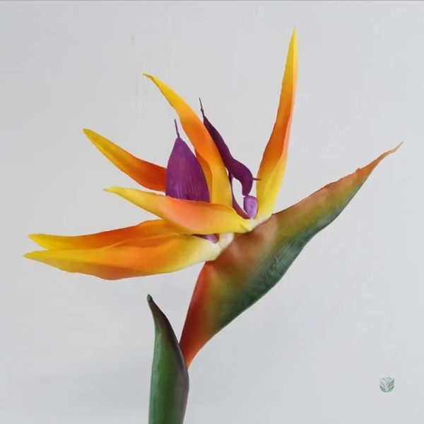 Oiseau de Paradis Artificiel, incontournable pour Noël