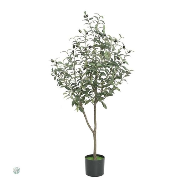 Olivier en pot, 1m20 de hauteur, pour une touche naturelle