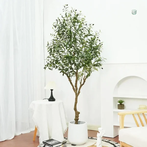 Plante décorative : Olivier en pot de 1m20, facile d'entretien