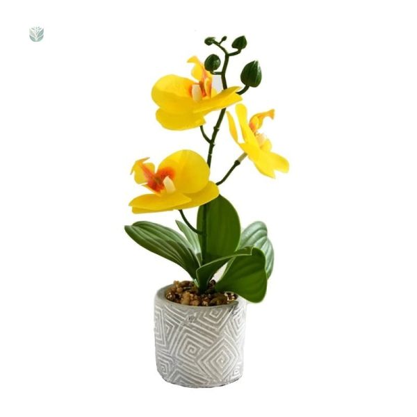 Orchidée décorative en pot moderne