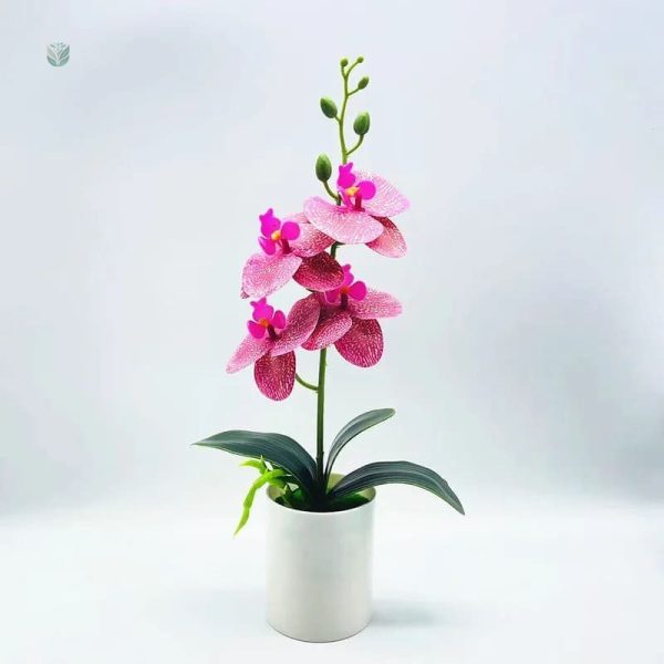 Orchidée artificielle pas cher pour embellir votre espace