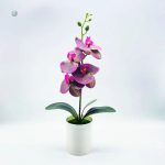 Faux orchidée en pot, ajout chic à votre décoration