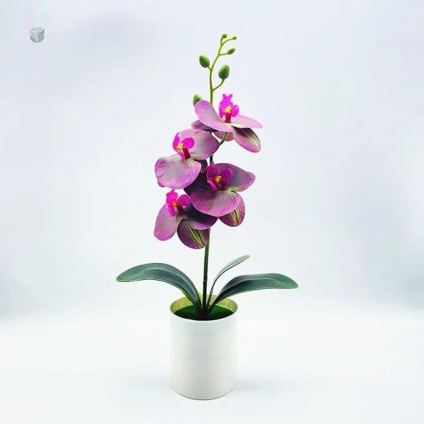 Faux orchidée en pot, ajout chic à votre décoration
