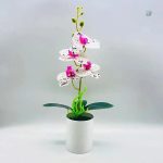 Orchidée décorative en plastique, entretien facile