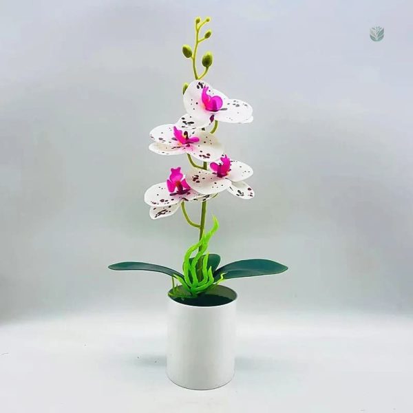 Orchidée décorative en plastique, entretien facile