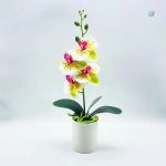 Orchidée artificielle à prix abordable pour toutes les pièces