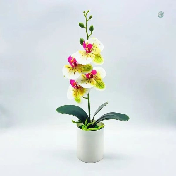 Orchidée artificielle à prix abordable pour toutes les pièces