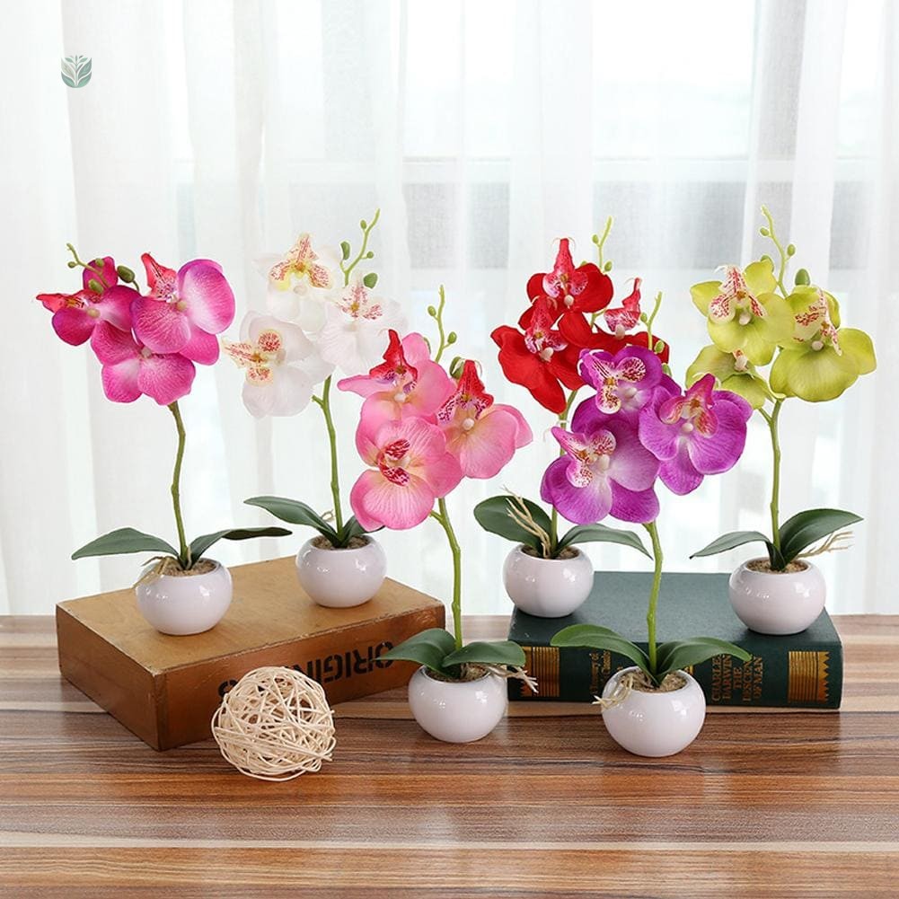Petites Plantes Artificielles