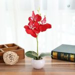 Orchidée en pot pour décoration intérieure
