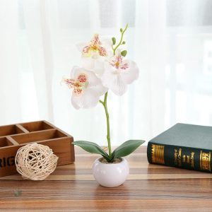 Faux orchidée en pot pour un style élégant