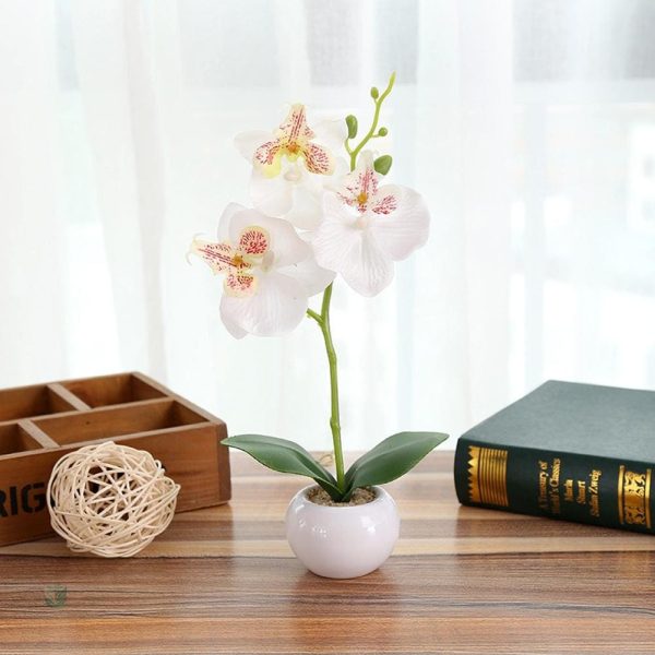 Faux orchidée en pot pour un style élégant