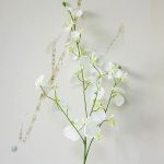 Orchidée Cambria, une touche florale sans entretien