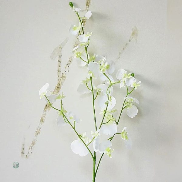 Orchidée Cambria, une touche florale sans entretien