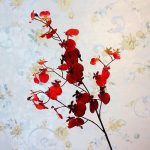 Fleur Cambria, option décorative pour tous les styles
