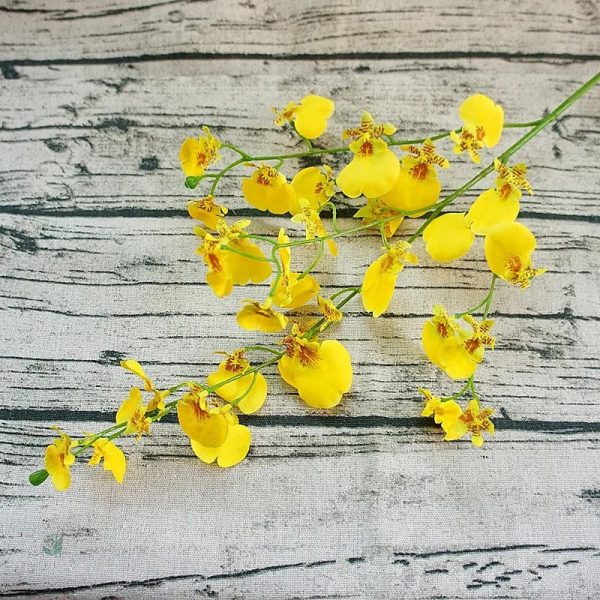 Orchidée Cambria, alternative naturelle pour la décoration intérieure
