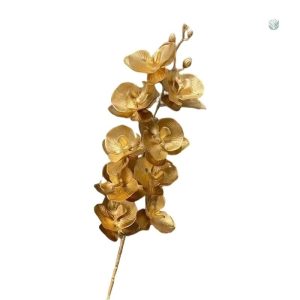 Orchidée en couleur dorée, parfaite pour embellir tout intérieur