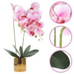 Fleur d'orchidée en pot, accessoire déco élégant