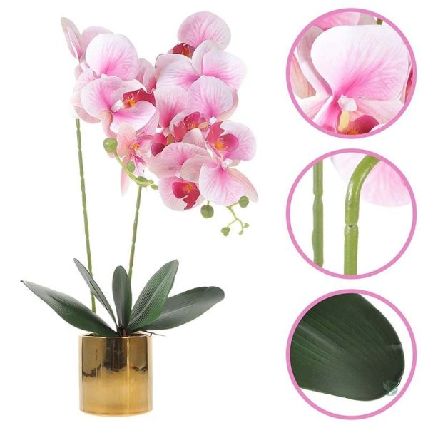 Fleur d'orchidée en pot, accessoire déco élégant