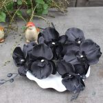Orchidée noire, ajout de sophistication à votre espace