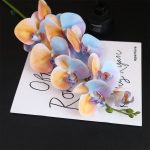Orchidée décorative, ajout floral intemporel