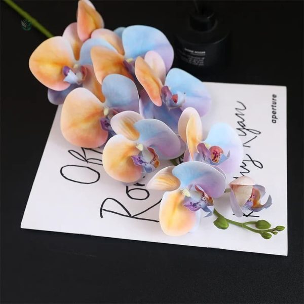 Orchidée décorative, ajout floral intemporel