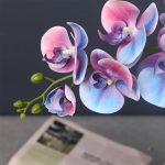 Orchidée originale, solution décorative sans entretien