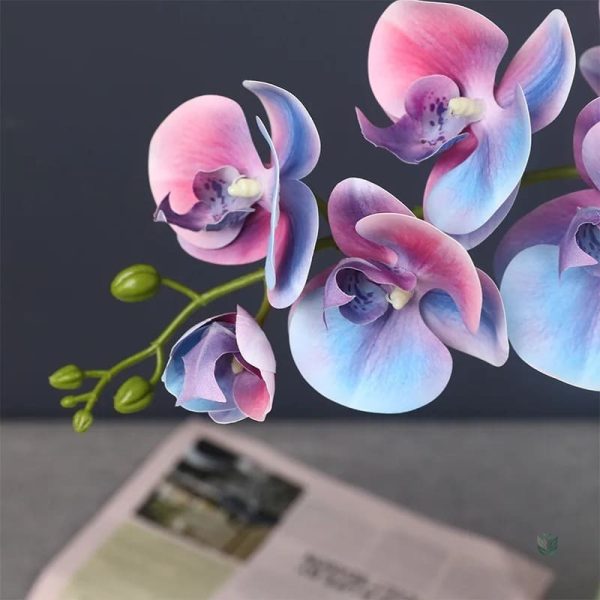 Orchidée originale, solution décorative sans entretien