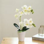 Orchidée Papillon artificielle en décoration florale