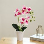 Composition florale d'orchidées Papillon pour intérieur