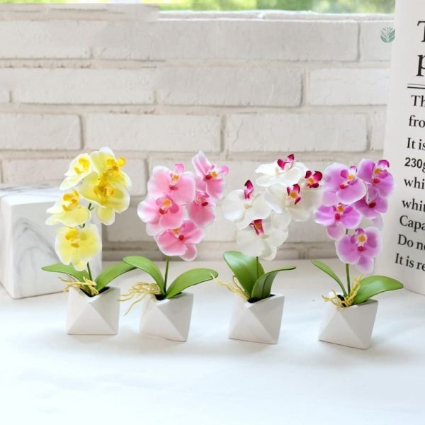 Orchidée Phalaenopsis artificielle en fleur