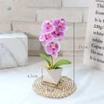 Orchidée Phalaenopsis en version réaliste pour maison