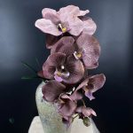 Orchidées haut de gamme pour une décoration sans entretien