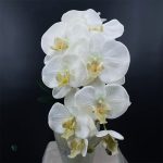 Fleurs d'orchidées artificielles de qualité supérieure