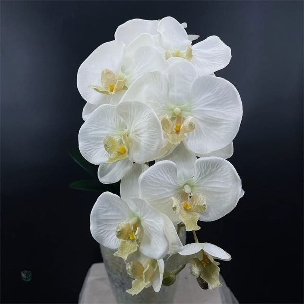 Fleurs d'orchidées artificielles de qualité supérieure