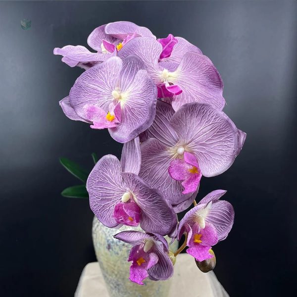 Orchidées artificielles raffinées pour un style moderne