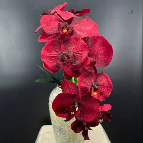 Bouquet d'orchidées haut de gamme en pot décoratif