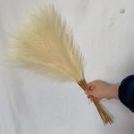 Fleurs Pampa Artificielle à la mode pour votre maison