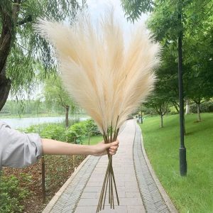 Pampa Artificielle 1M en décoration intérieure