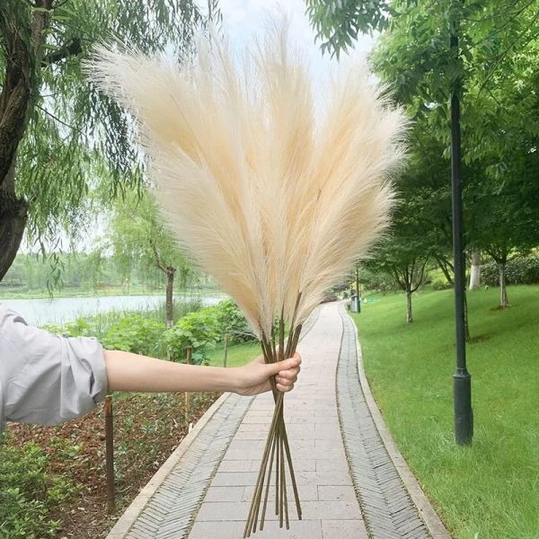 Pampa Artificielle 1M en décoration intérieure