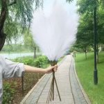 Pampa décorative 1M pour embellir votre espace