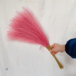 Fleurs de Pampa Artificielle pour embellir l'espace